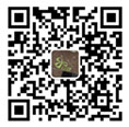 微(wēi)信咨詢