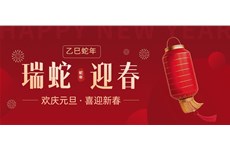 品赫|歡慶元旦·喜迎新春
